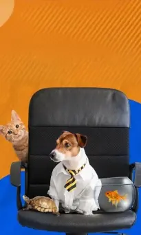 BIC na Petlândia: quando a escuta transforma cuidado em conexão