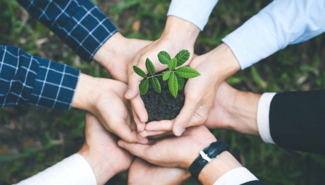 Grupo em busca da sustentabilidade ambiental